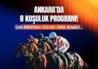 Ankara'da 8 koşuluk program! İşte Misli'den günün altılı analizi