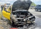 Tekirdağ'da seyir halindeki otomobil yandı