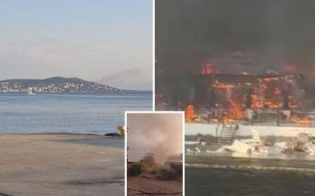 İstanbul Büyükada'da yangın paniği! Viranbağ Plajı alevlere teslim oldu