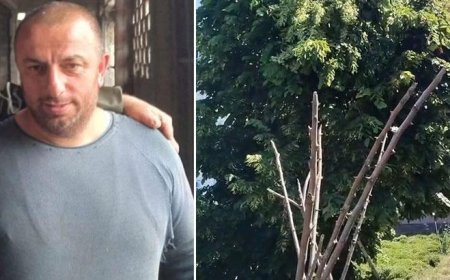 Rize'de budamaya çıktığı ağaçta akıma kapılıp kişi öldü
