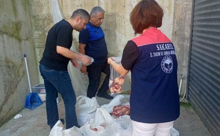 Sakarya'da ele geçirilen 5,5 ton etiketsiz et ürünü imha edildi