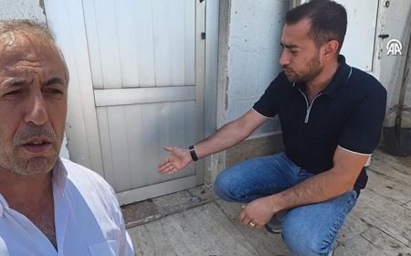Yağmur sonrası ortaya çıktılar! Vatandaş şaşkın: Bu bir hikmet mi, başka bir şey mi, bilemedik