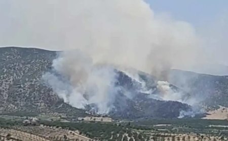 Malatya'da orman yangını. Ekiplerin müdahalesi sürüyor