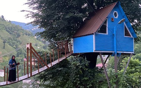 Sadece geceleri çalışarak, 3 günde ağaçtan ev yaptılar! Baba anlattı: Bu delilik