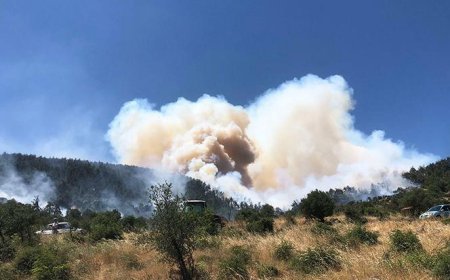 Balıkesir'de orman yangını! Alevler rüzgarın etkisiyle hızla yayıldı