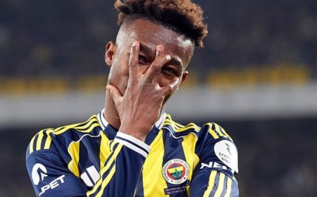 Fenerbahçe Kulübü, Nene'nin de kampa katılacağını duyurdu