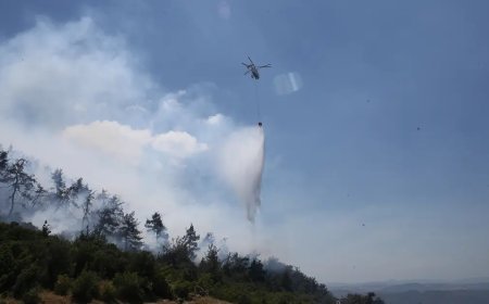 Balıkesir ve Kütahya'da üç noktada orman yangını: Alevlerle mücadele sürüyor