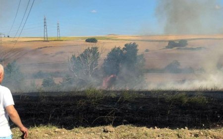 Çorlu'da yangında 200 dekar buğday tarlası zarar gördü