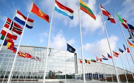 NATO ülkeleri listesi 2026: NATO'da kaç ülke var? NATO Zirvesine hangi ülkeler katılacak?