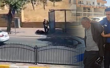 Şanlıurfa'da dehşet anları! Durakta bekleyen eşini vurdu, polise teslim oldu