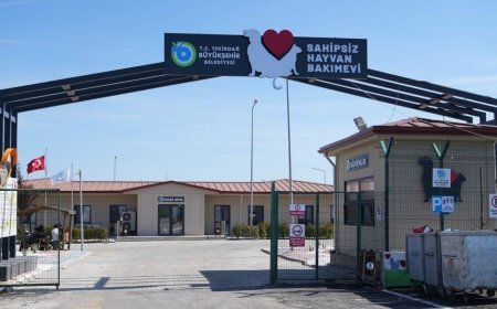 Tekirdağ'da sahipsiz 5 bini aşkın hayvana bakım ve tedavi uygulandı