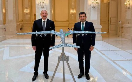 Aliyev, Baykar Yönetim Kurulu Başkanı Bayraktar'ı kabul etti
