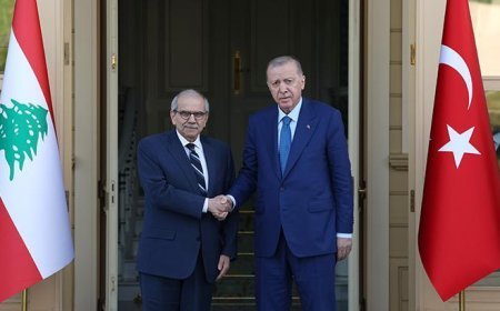 Cumhurbaşkanı Erdoğan, Lübnan Başbakanı Selam'ı kabul etti