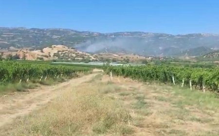 Manisa'da orman yangını! Havadan karadan müdahale başladı