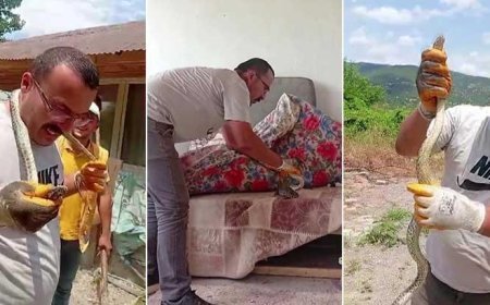 Amasya'da evde yılan paniği! Yakaladı, boynuna doladı