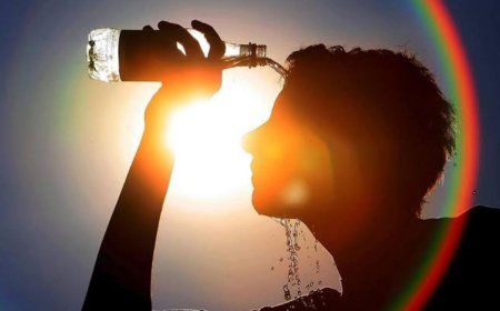 Avrupa'da sıcaklar felakete dönüştü! Rekor ölüm sayısı açıklandı