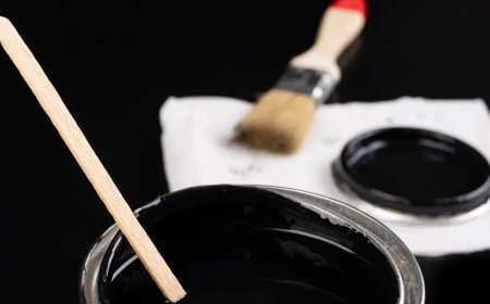 Dünyanın en siyah boyası, bilim insanlarının umudu oldu