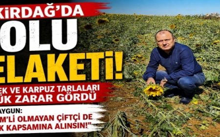 DOLU FELAKETİ ÜRETİCİYİ VURDU