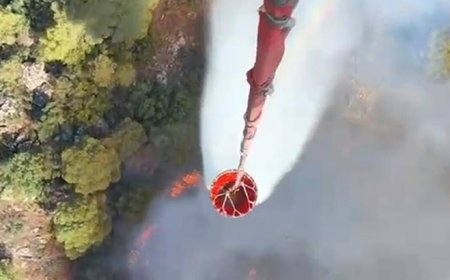 Muğla'da orman yangını! Havadan karadan müdahale