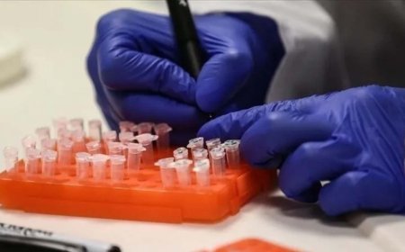 Dünyayı tedirgin eden virüs bir ülkeye daha sıçradı! İlk vaka doğrulandı