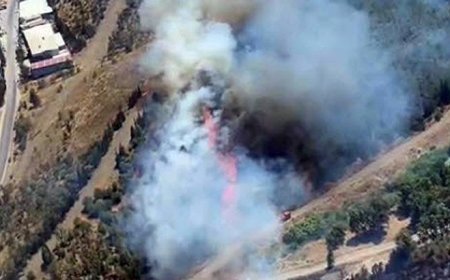 İzmir'de otluk alanda çıkan yangın ormana sıçradı