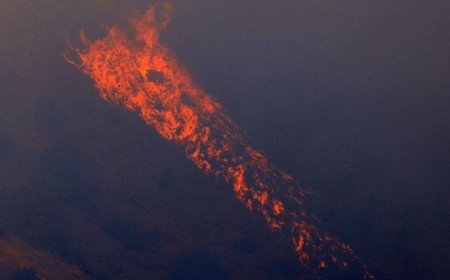İtalya alevlere teslim! Dağlar ve ormanlar yanıyor