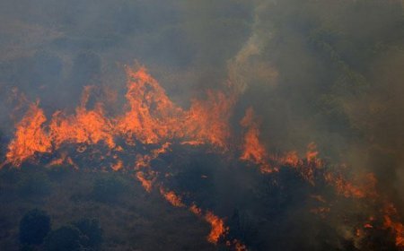 Aşırı sıcaklar felaketi büyüttü! İtalya'da dağlar ve ormanlar yanıyor