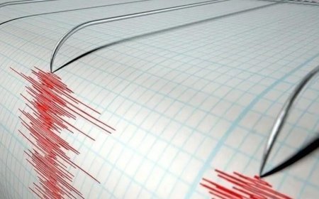 Yeni Zelanda'da şiddetli deprem! 5.9 ile sarsıldılar