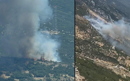 Son dakika... İzmir'de orman yangını! Müdahale başladı