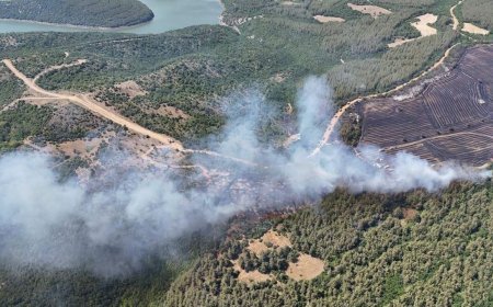 Tekirdağ'da anız yangınında alevler, ormana sıçradı