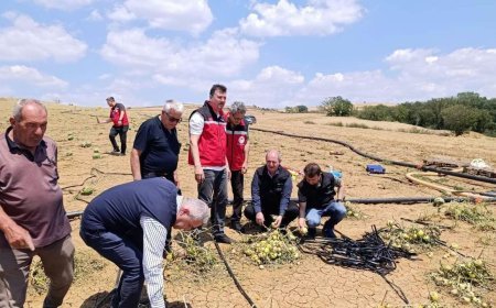 Tekirdağ'da doludan zarar gören tarlalarda inceleme sürüyor