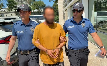 Kediye tekme atan şahıs tutuklandı: "Sinirliydim, pişmanım"