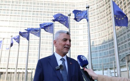 Bakan Bolat'tan 'Made in EU' mesajı! 'Türkiye'nin haklarını koruyoruz'