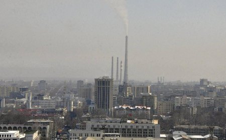 45 ve 48 dereceyi gördüler! İki ülkede aşırı sıcak alarmı