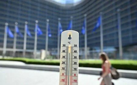 Belçika'da sıcak hava felaketi! Ölü sayısı 2 bini aştı