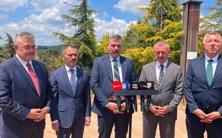Bakan Çiftçi'den sahipsiz sokak hayvanları açıklaması