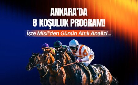 Ankara'da 8 koşuluk program! İşte Misli'den günün altılı analizi