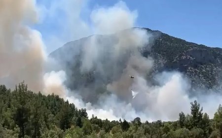 Antalya'da orman yangın: Ekipler müdahale ediyor