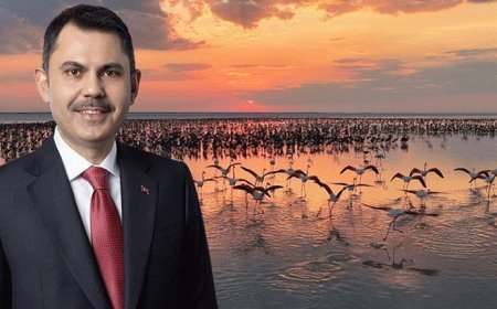 Bakan Kurum: Son 5 yılın en yüksek yavru sayısına ulaştık