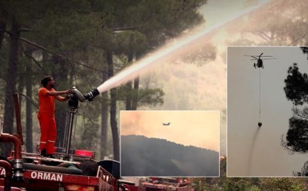 Antalya'da orman yangını! Alevlere havadan ve karadan müdahale sürüyor