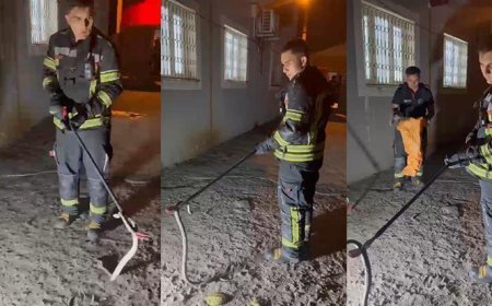 Osmaniye'de zehirli engerek paniği! Eve girmeye çalışan yılan son anda yakalandı