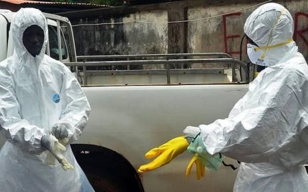 Ebola salgını büyüyor! Can kaybı 967'ye yükseldi, vaka sayısı 3 bine yakın