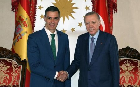 Cumhurbaşkanı Erdoğan, İspanya Başbakanı Pedro Sanchez ile görüştü