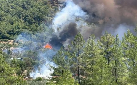 Afyonkarahisar, Muğla ve Antalya'da orman yangını. Ekipler sevk edildi