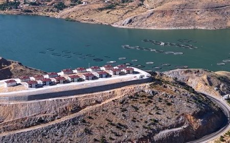 Adıyaman'daki yeni köy evleri vatandaştan tam not aldı: Devlet babalığından fazlasını yaptı