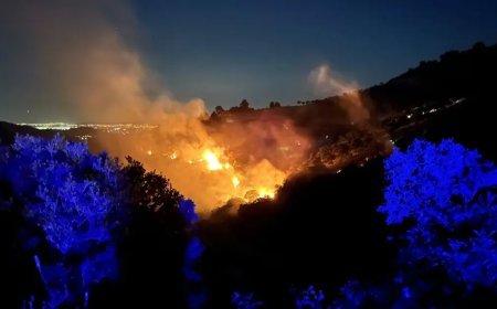 Birçok ilde orman yangını çıktı. İzmir'de müdahale sürüyor