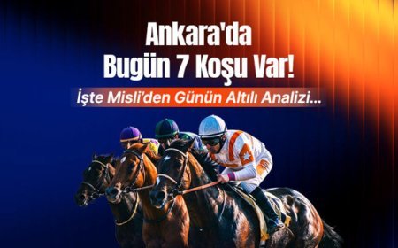 Ankara'da bugün 7 koşu var! İşte Misli’den günün altılı analizi…