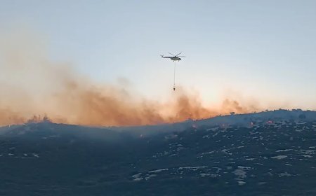 İzmir'deki orman yangını kontrol altına alındı