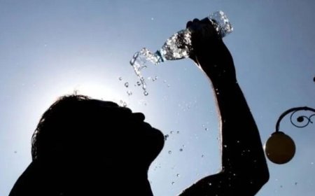 Belçika sıcaklara teslim oldu! Avrupa'nın en yüksek aşırı ölüm oranı kaydedildi