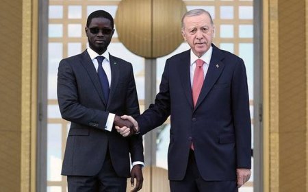 Cumhurbaşkanı Erdoğan, Senegal Cumhurbaşkanı Bassirou Diomaye Faye ile görüştü